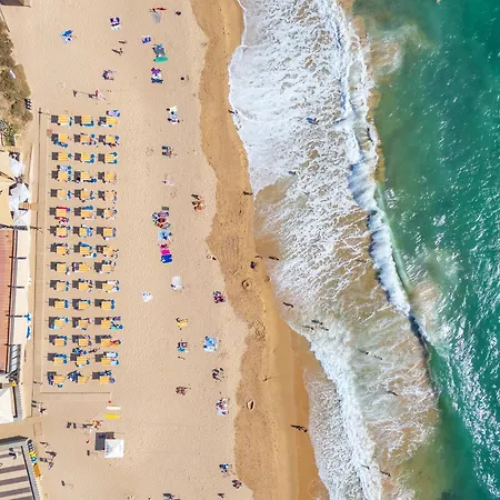 Ocean View - Xl Terrace - Beachfront By Tenorio
